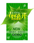 春天海报