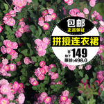 女装主图