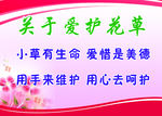 爱护花草