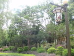 公园景观