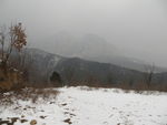嵩门冬景
