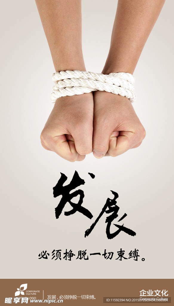 公司文化