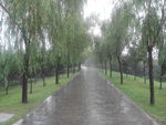 雨后小路