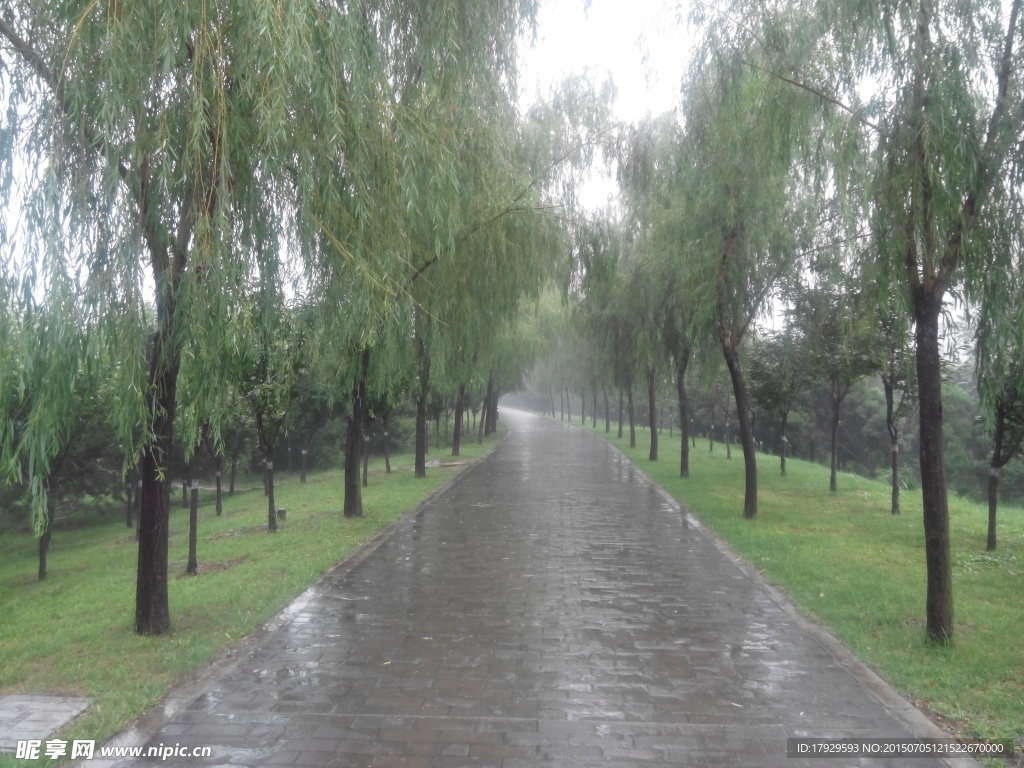 雨后小路