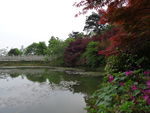 岳麓风景图片