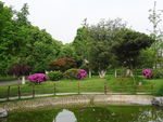 橘子洲园林风景
