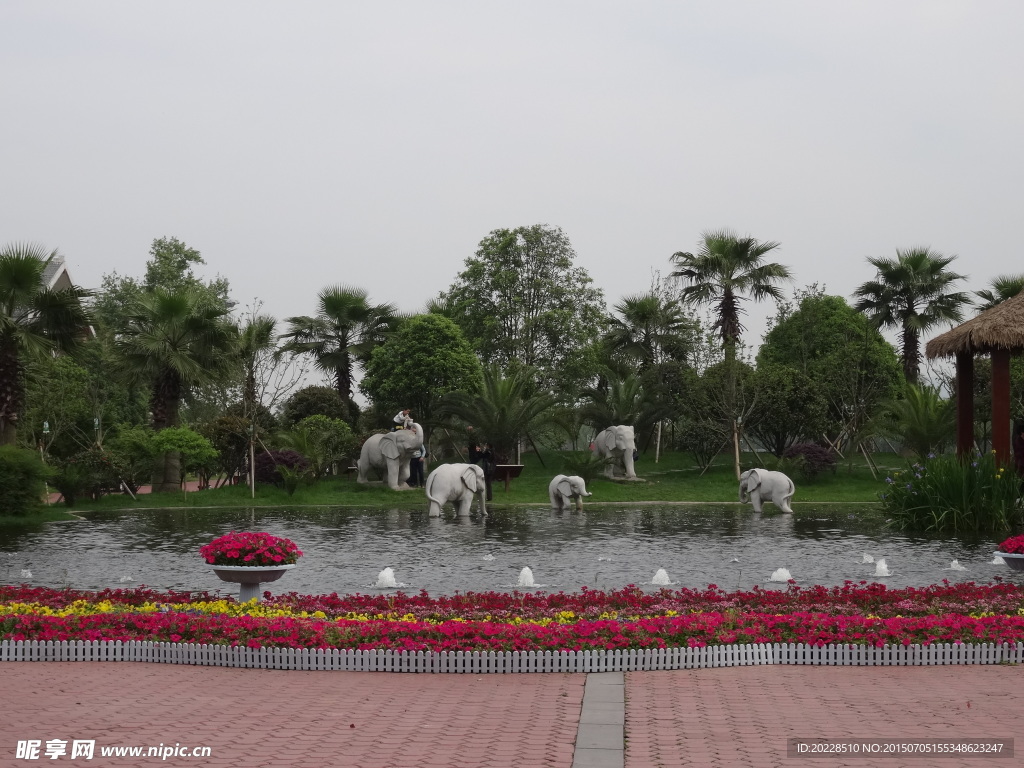 沙滩乐园风景