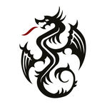 飞龙