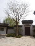 庭院