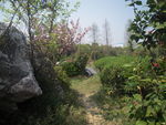 无锡风景