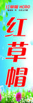 红草帽海报
