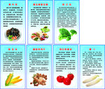 蔬菜宣传画7张