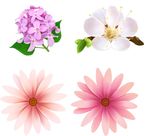 花  高清素材 元素  绝美