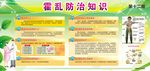 预防霍乱知识宣传栏