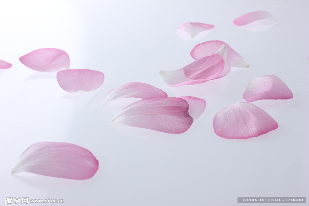 花瓣