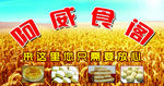 阿威食阁
