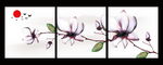 玉兰花无框画