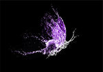 水花蝴蝶