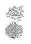 花朵矢量