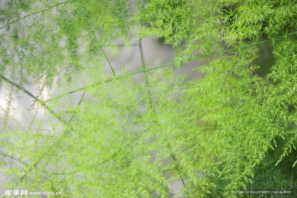 意境背景
