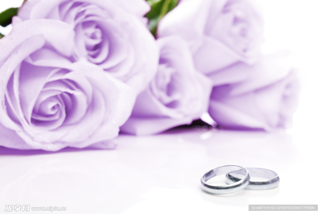 紫色玫瑰和戒指