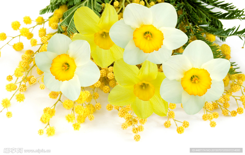 一束黄花和白花