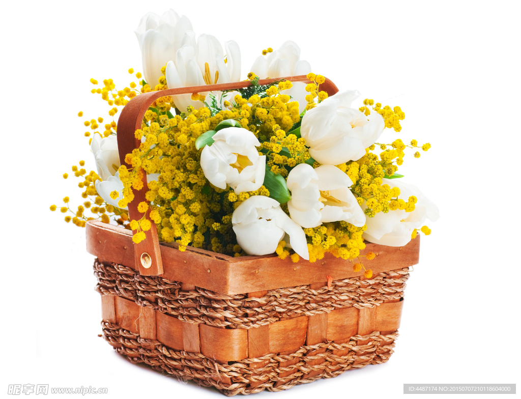 花篮黄花和白玫瑰