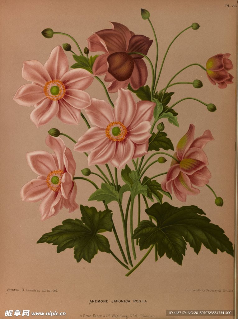复古手绘一束野花
