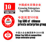 中国民营企业500强标志