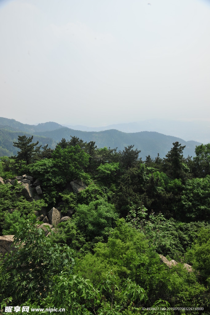 山区植被