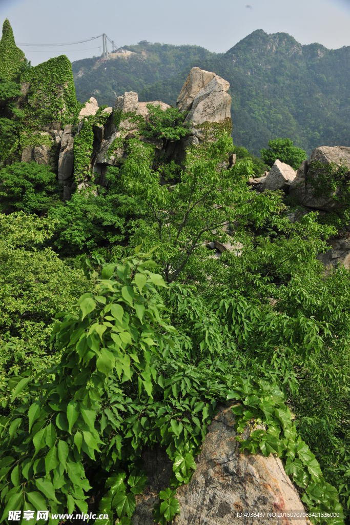 山景 旅游区风景