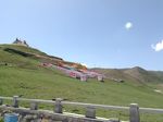 西藏平原草地