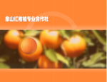花朵上的蜜蜂flash矢量动画