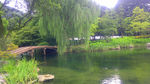 春色湖边