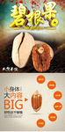 坚果 碧根果