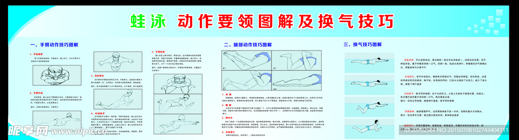 蛙泳动作图解