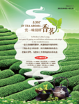 香茗 春茶礼盒
