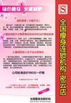 瘦身减肥