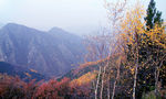 关山