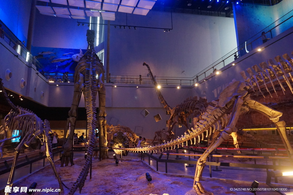 广州博物馆 恐龙