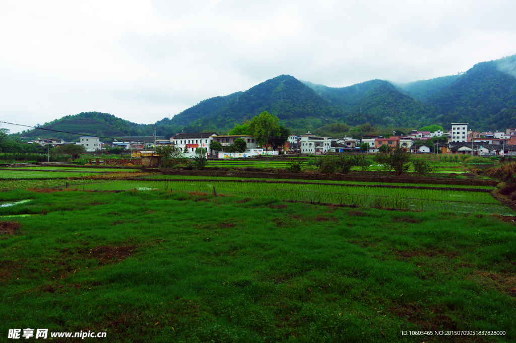 田园小草原