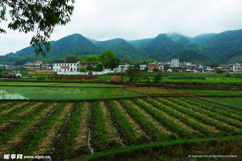 田园风光