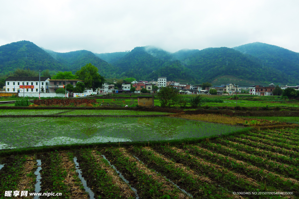 田园风光