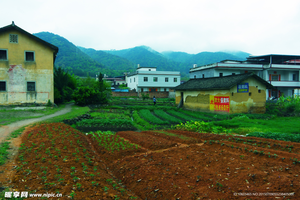 红土田园 青山绿水