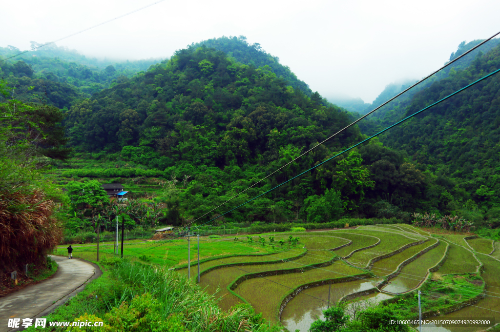 田园山水