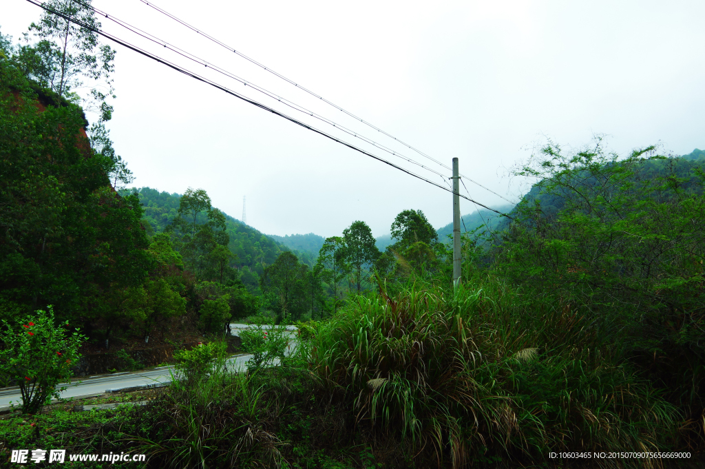 山区公路 森林弯路