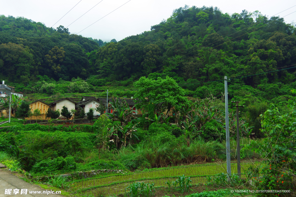 深山田园