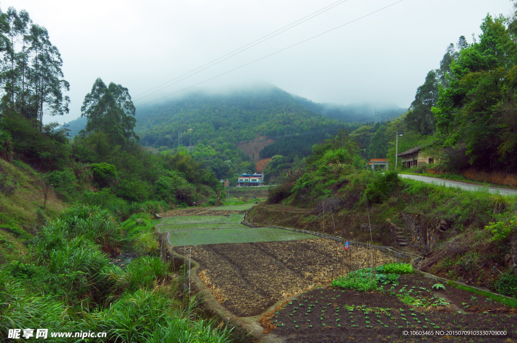 明山晨雾 山坑田园