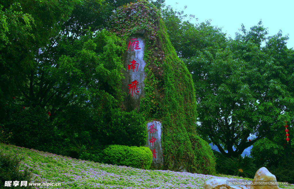 景区丰碑 雁南飞茶中情