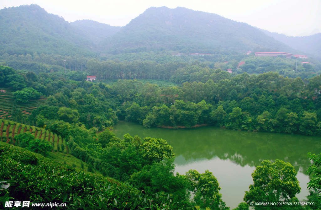 湖光山色 雁南飞